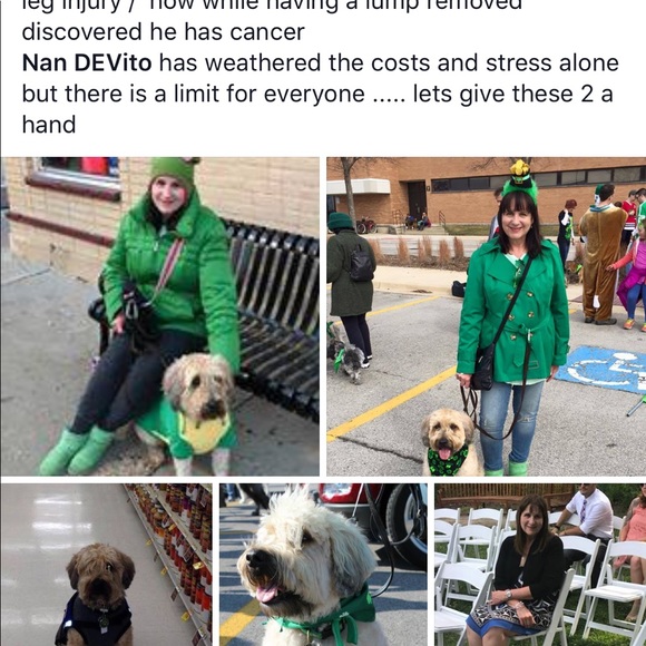 Meet your Posher, Nan - Picture 4 of 4